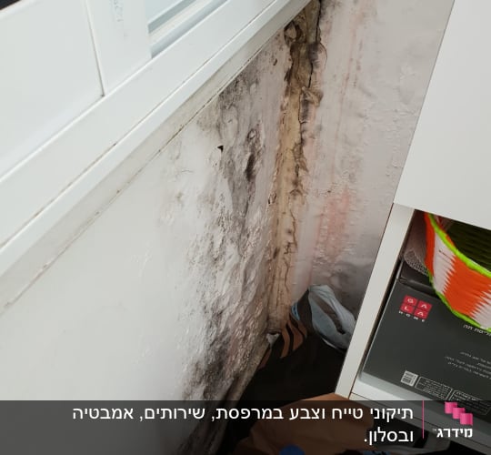קיר עם עובש ורטיבות ליד חלון